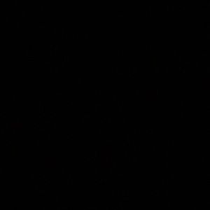 Meet your Posher, Ashlyn